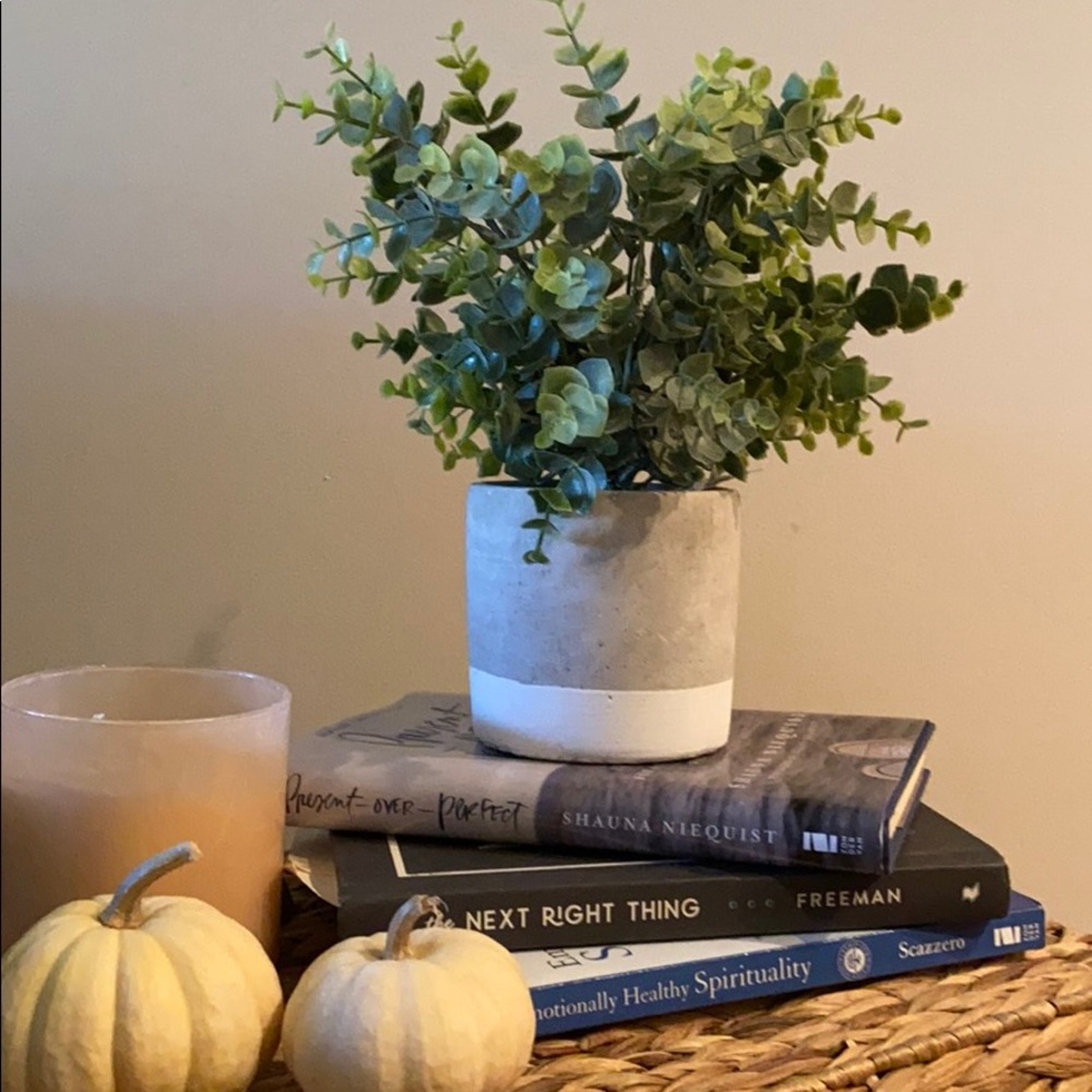 Fake plant cement planter